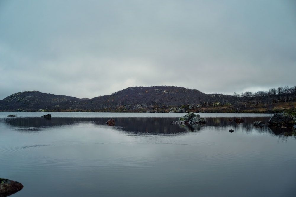 Photograph by Марина Зборацкая