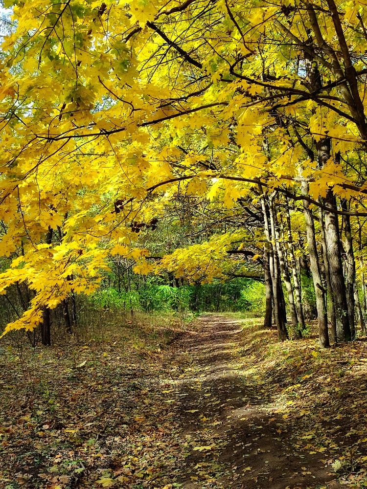 Photograph by Татьяна Калугина