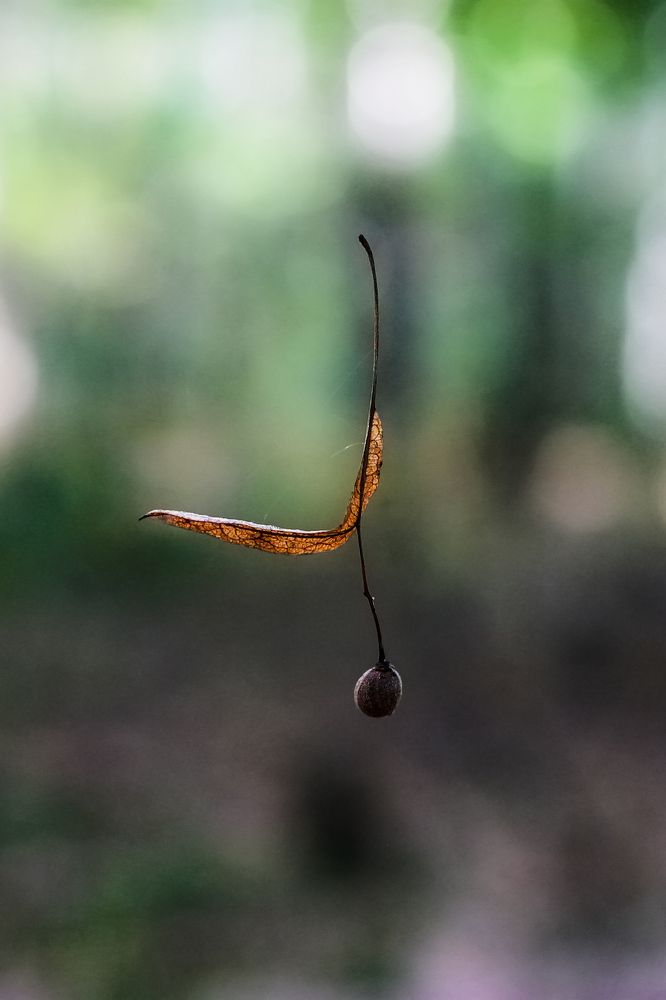 Photograph by Михаил Магнитов