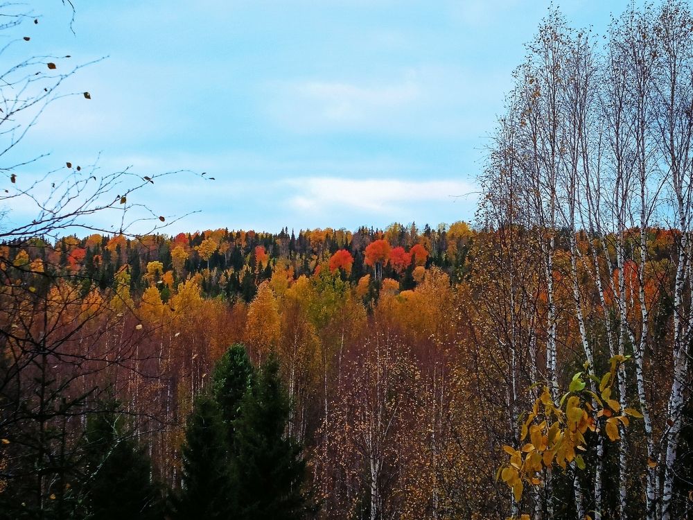 Photograph by Татьяна Бешенкина