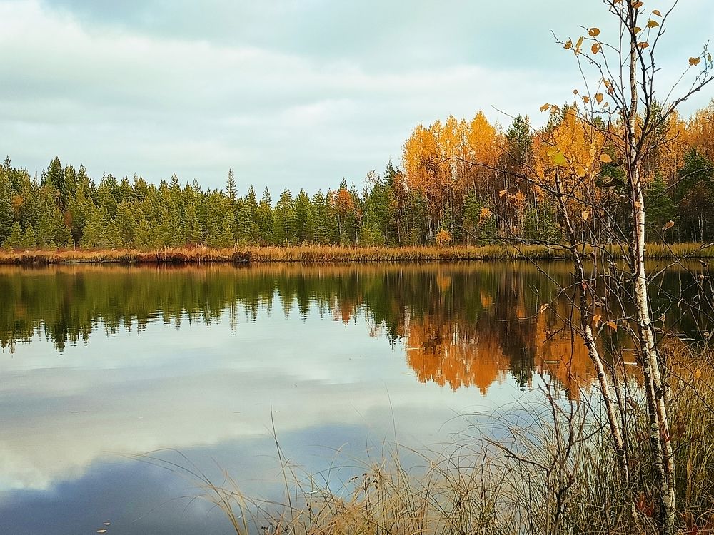 Осень на озере