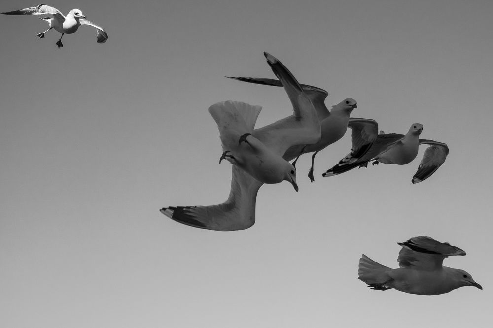 Photograph by Sergei Komlev