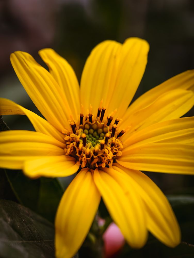 Photograph by Евгений Порсов