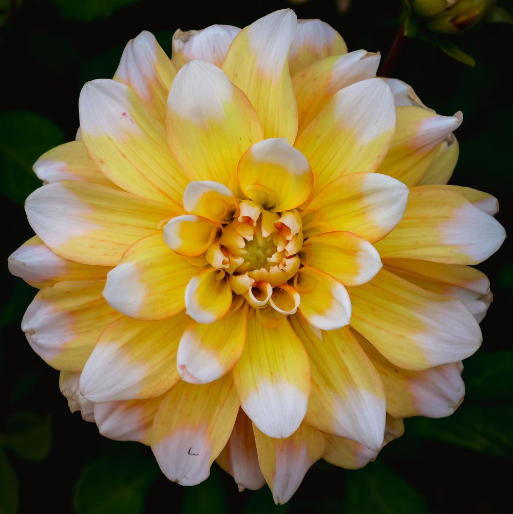 Photograph by Евгений Порсов