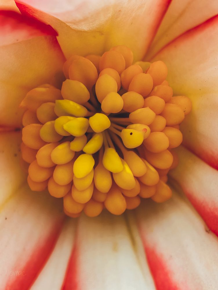 Photograph by Евгений Порсов