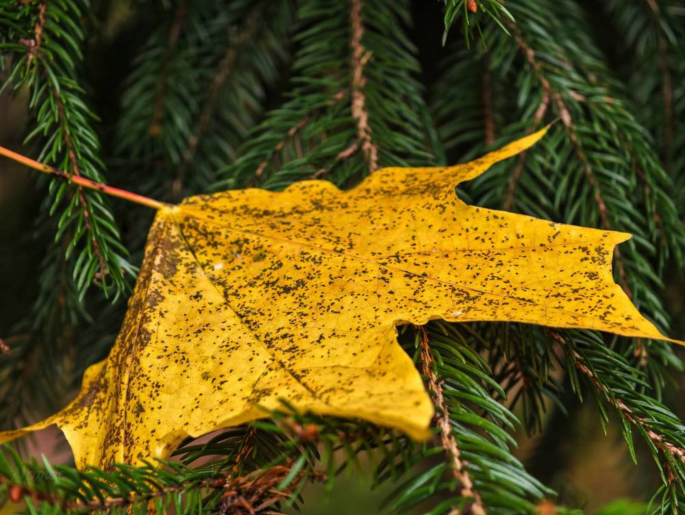 Photograph by Евгений Порсов