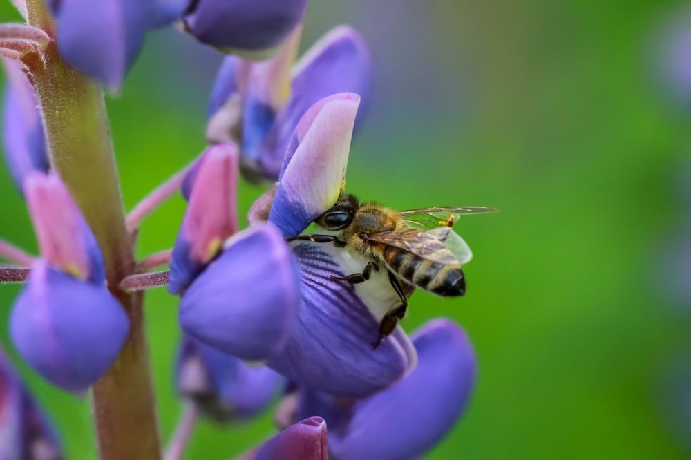Photograph by Михаил Магнитов
