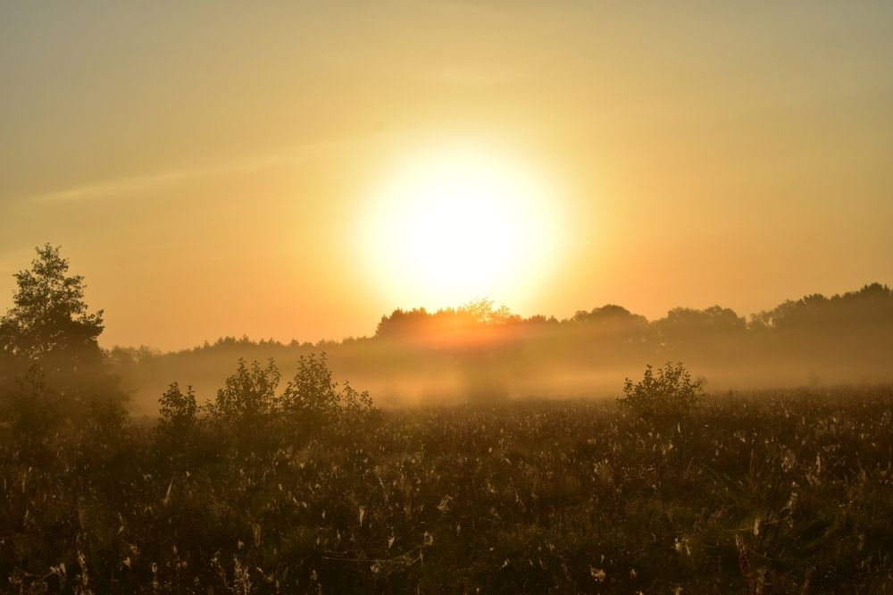 Photograph by Татьяна Калугина