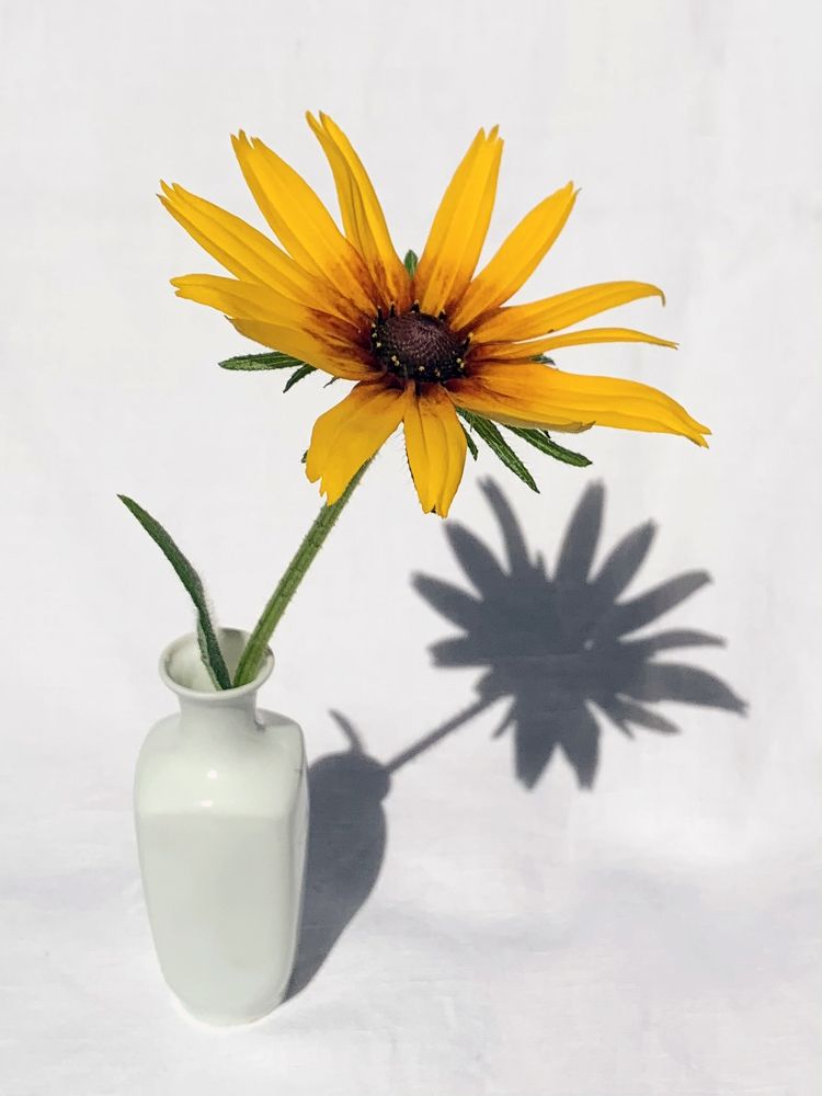 Photograph by Ионова Татьяна