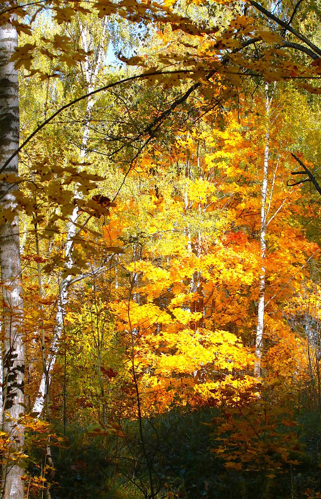 Photograph by Гагик Саркисян