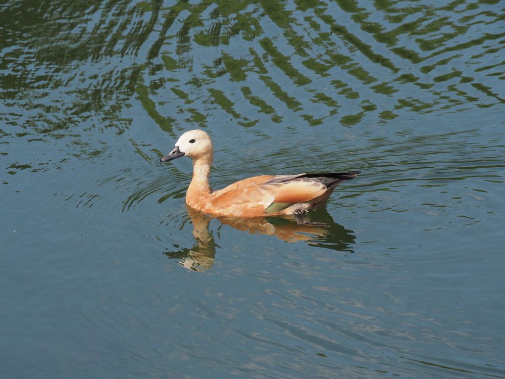 Photograph by Олег