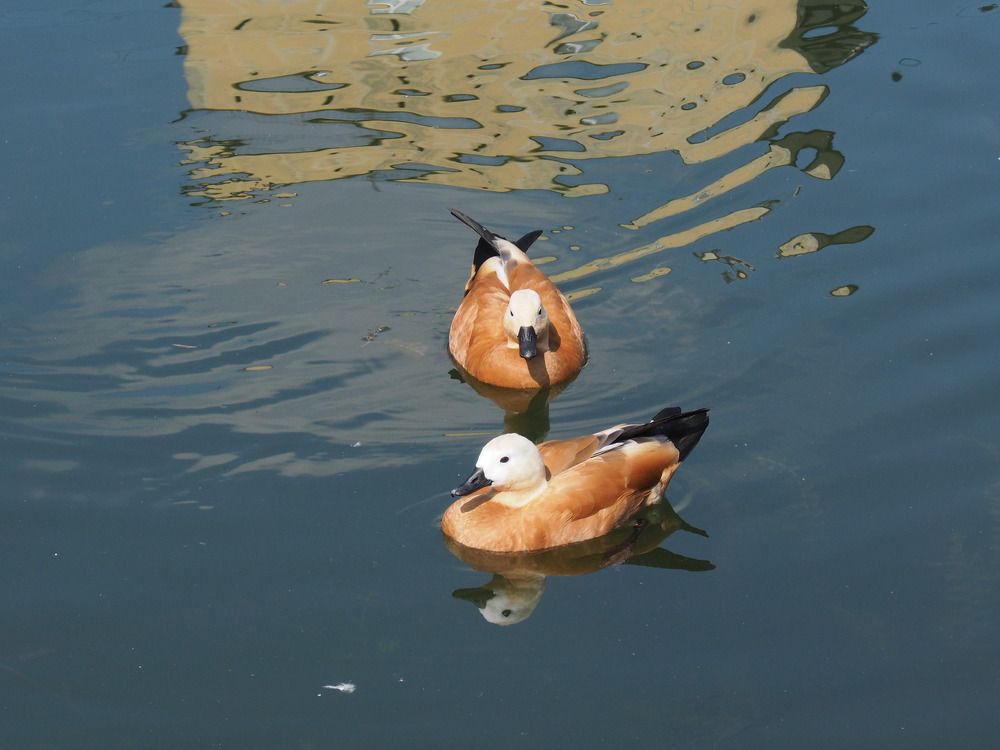 Photograph by Олег