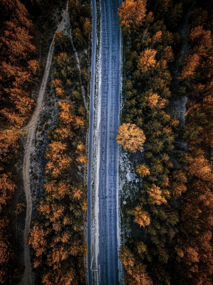 Photograph by Konstantin Martynov