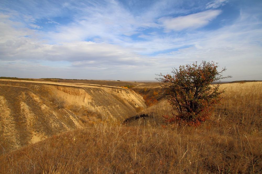 Photograph by Юрий Варюхин