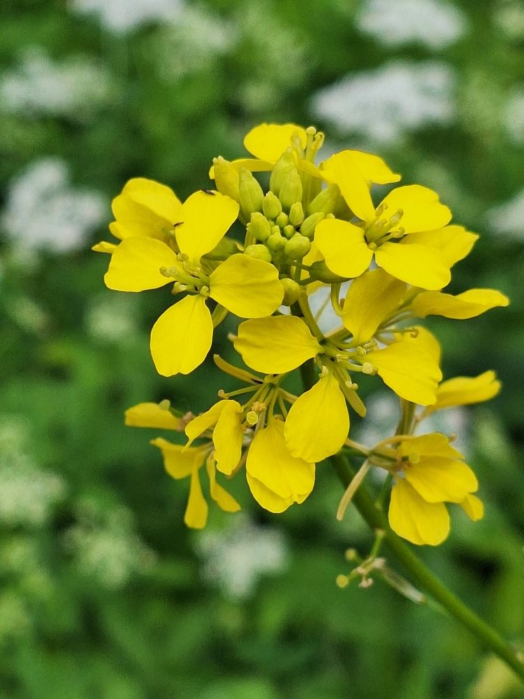 Photograph by Олег