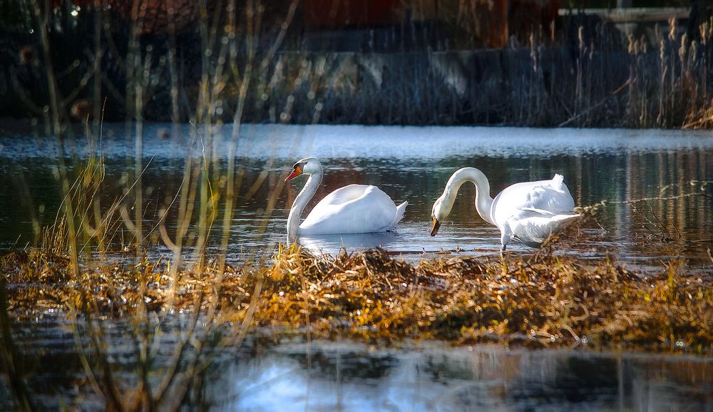 Photograph by Ткачёв Владимир