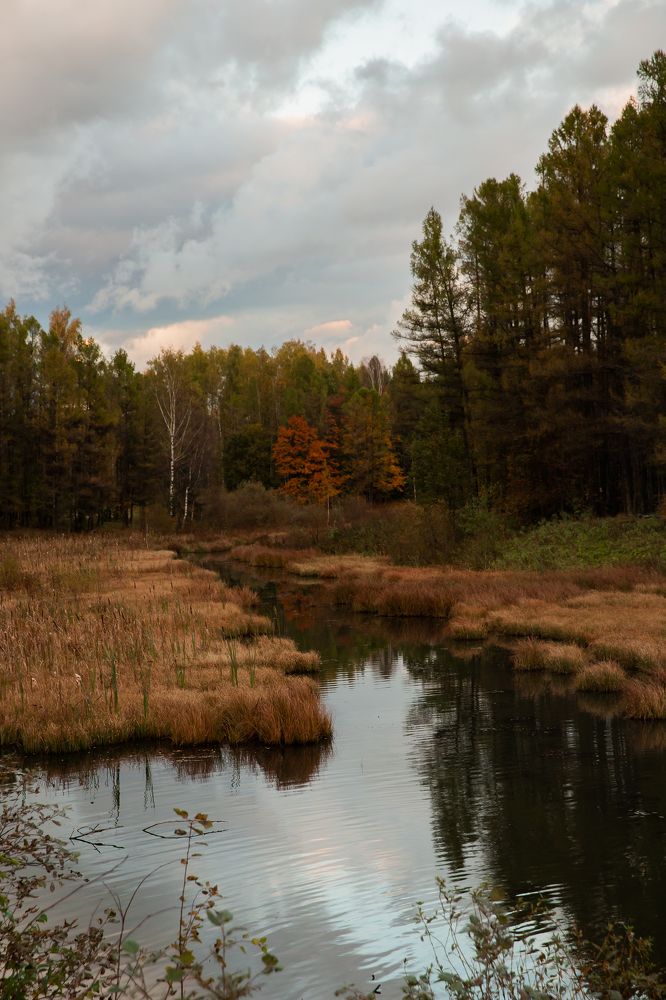 Photograph by Ольга Станкова