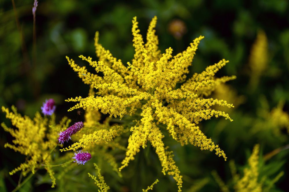 Photograph by Галина Искандарова