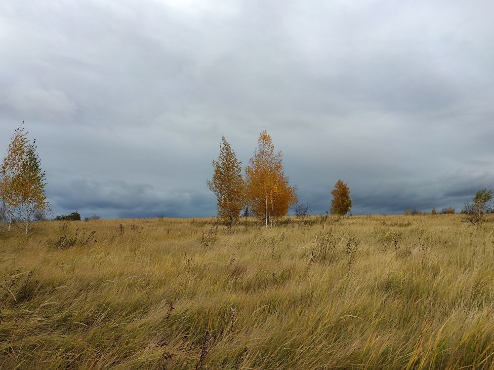 Photograph by Татьяна Калугина