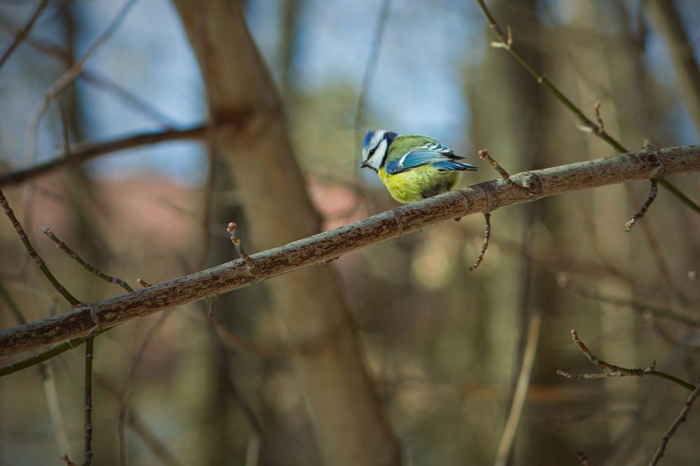 Фотография автора Дмитрий Овчинников