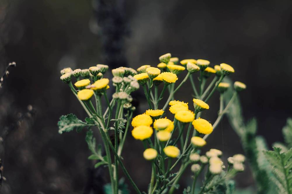 Фотография автора Алина Руденко