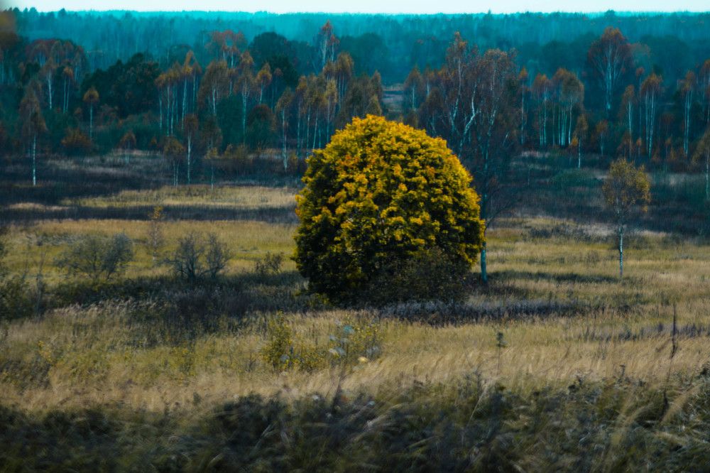 Фотография автора Алина Руденко