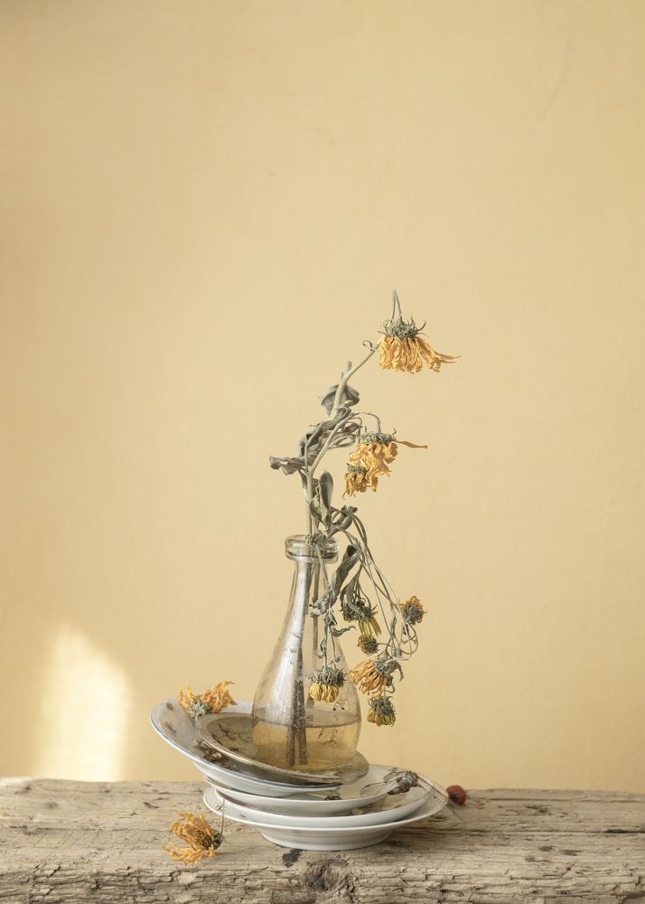 Фотография автора Вихрова Юлия