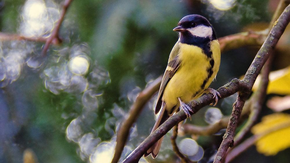 Просто красавица