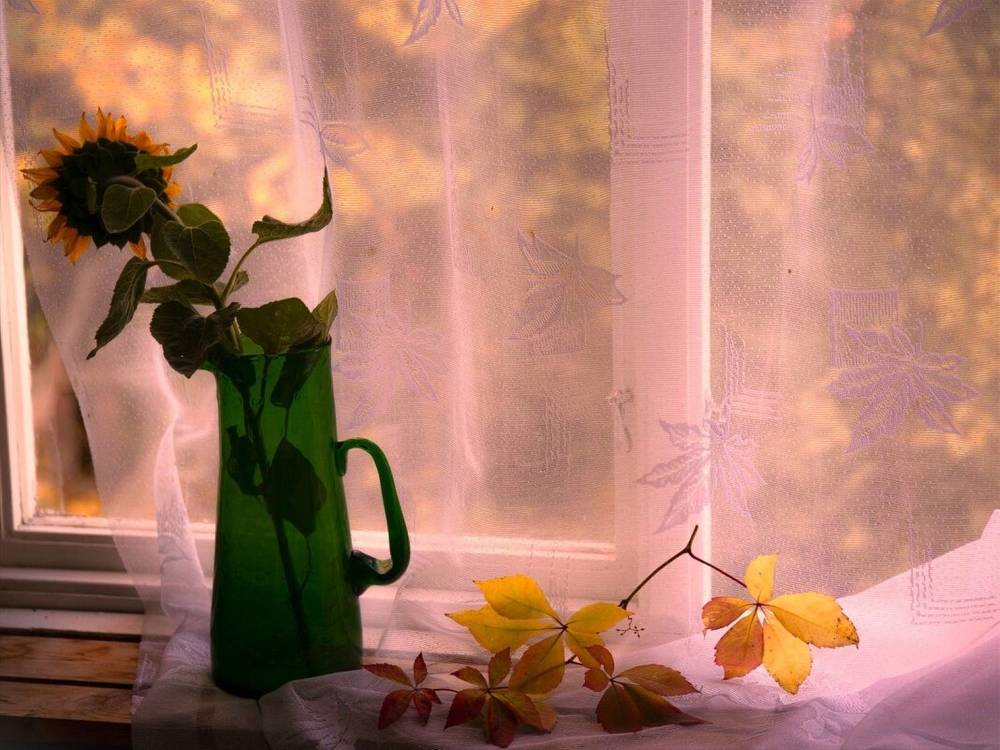 Photograph by Liudmila Drake