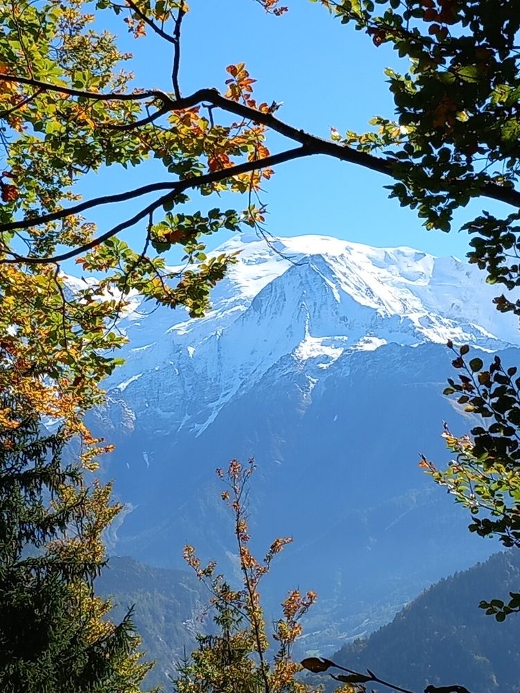 Фотография автора Елена Чернова