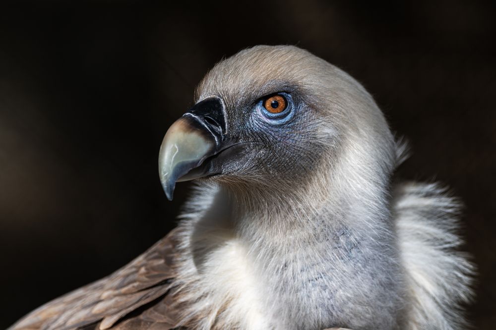 Photograph by Noureddine Belfethi