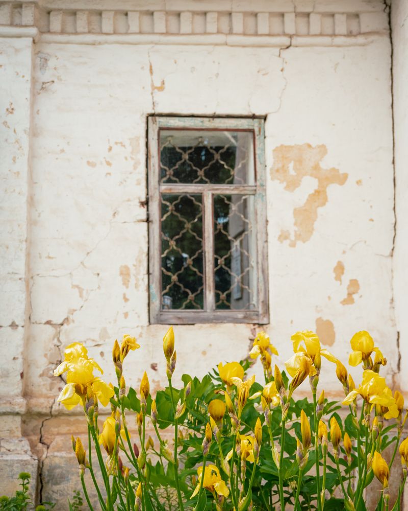 Photograph by Ярослав Изотов