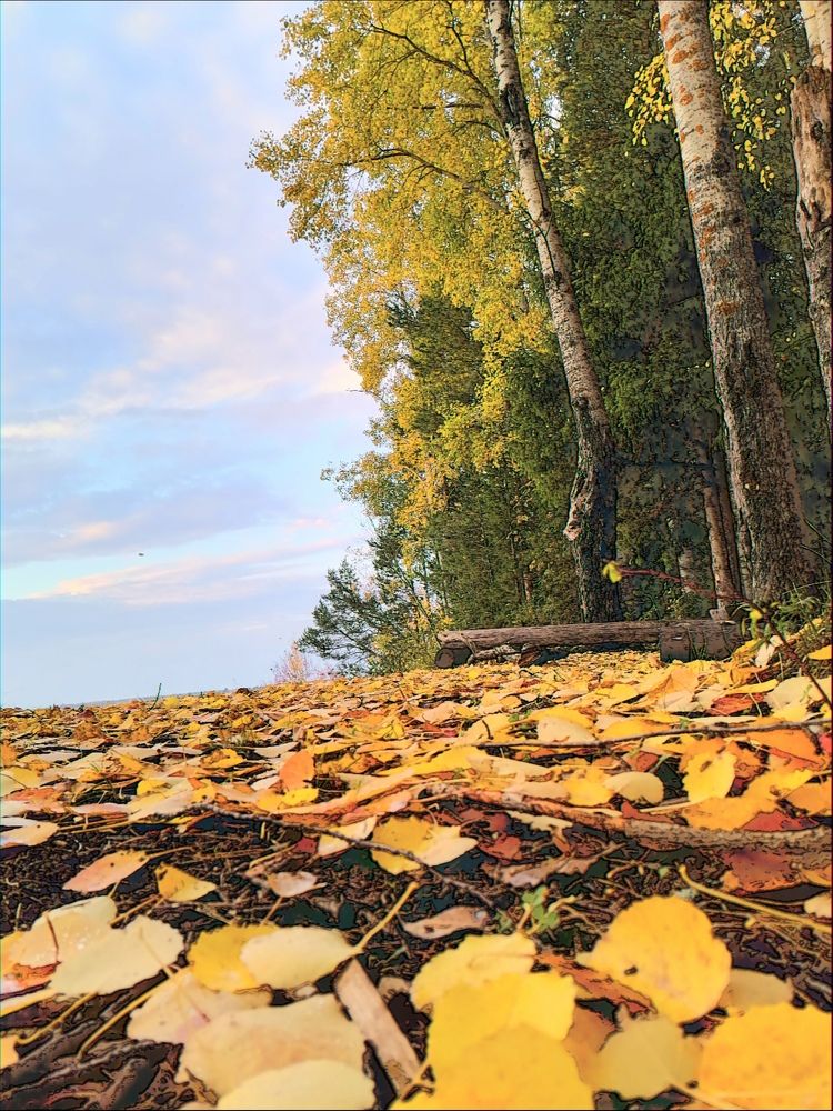 Photograph by Татьяна Бешенкина