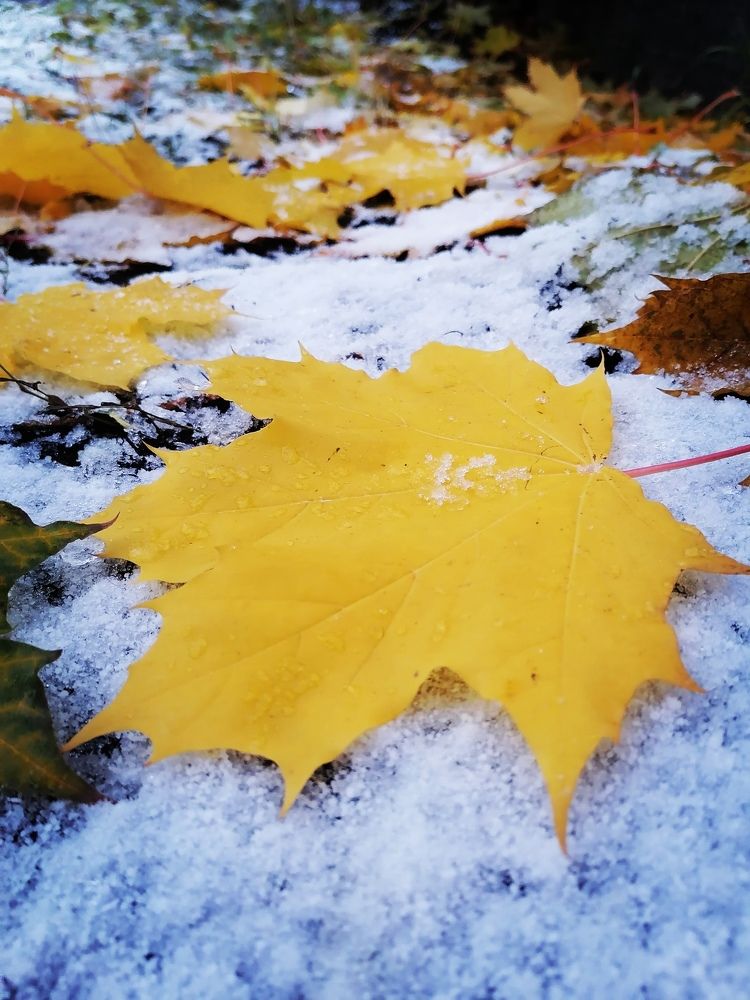 Photograph by Татьяна Бешенкина