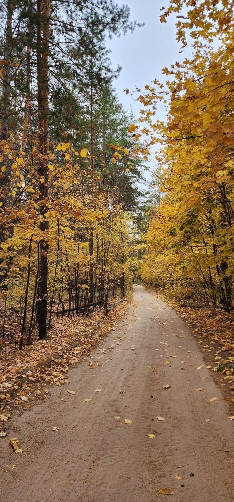 Photograph by Tatiana Denisova