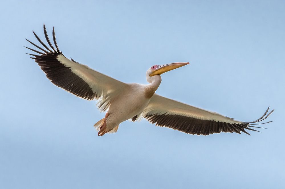 Photograph by Анна Стрелковская