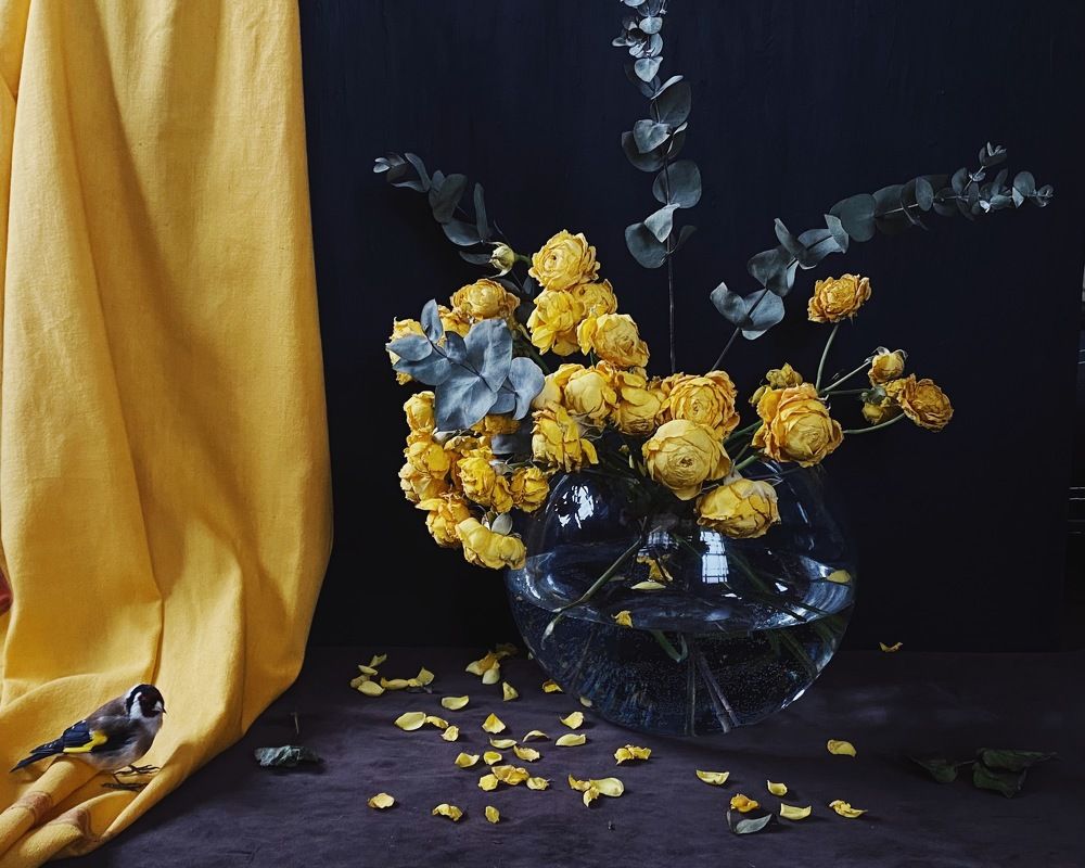 Фотография автора Galina Sa