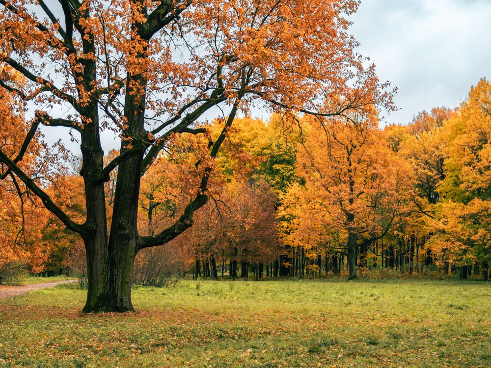 Photograph by Ярослав Изотов