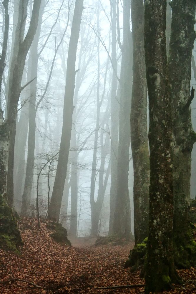 Photograph by Claudio Bonaccorsi