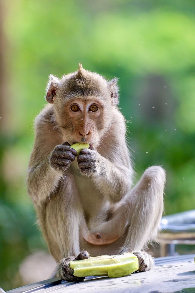 Photograph by Михаил