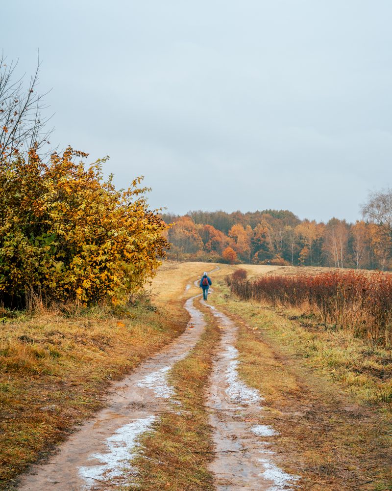 Photograph by Ярослав Изотов