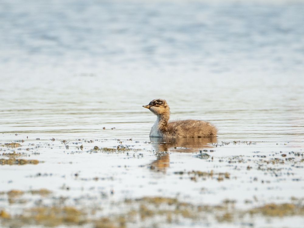 Photograph by Ярослав Изотов