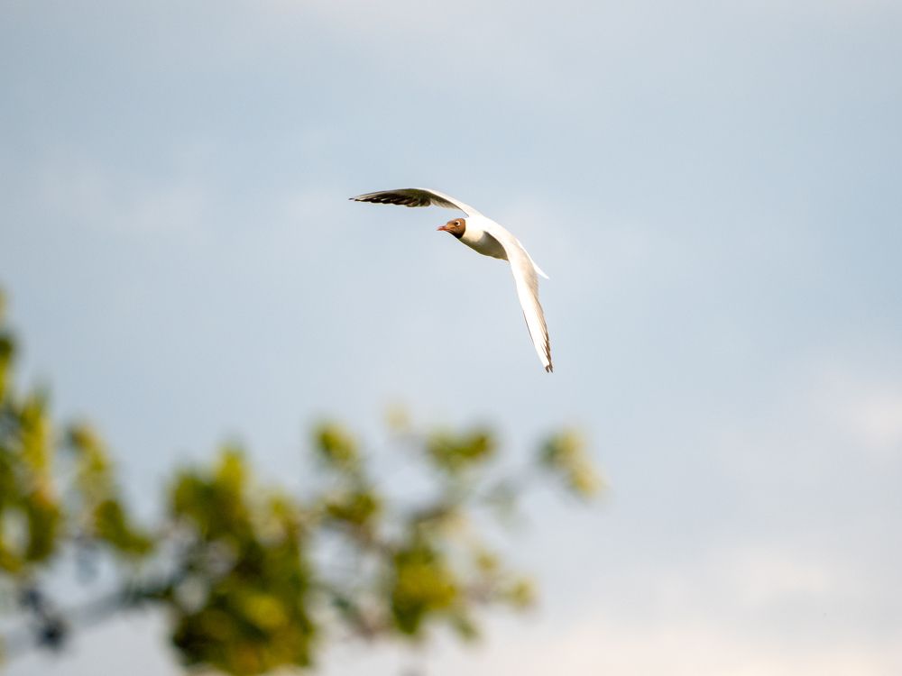 Photograph by Ярослав Изотов