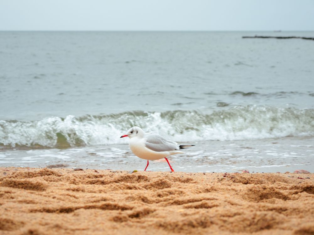 Photograph by Ярослав Изотов