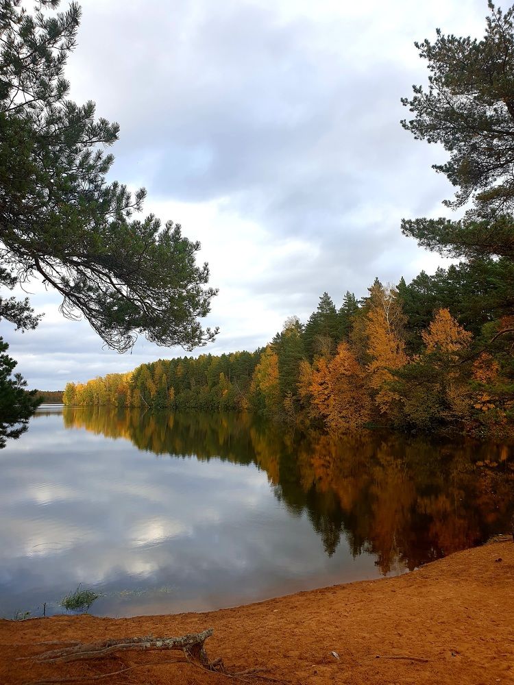 Фотография автора Ирина