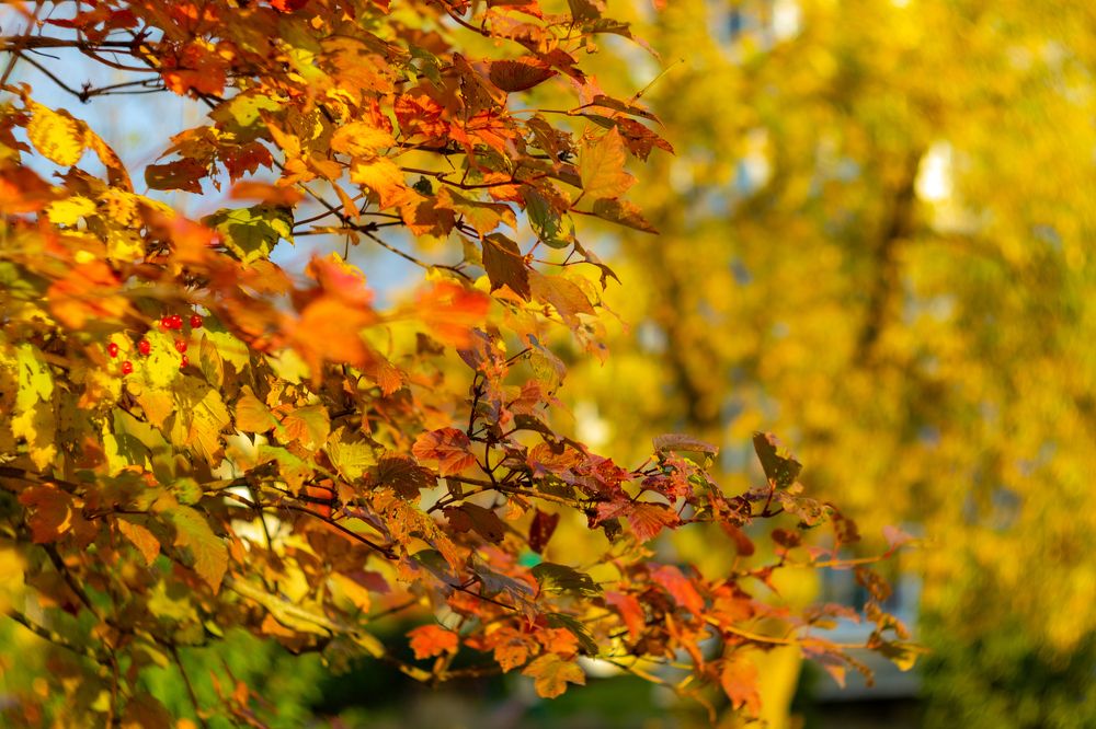 Фотография автора Aamoda Kitchen