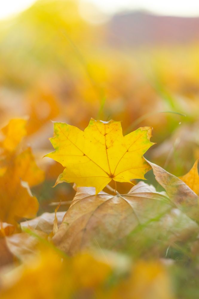 Фотография автора Aamoda Kitchen