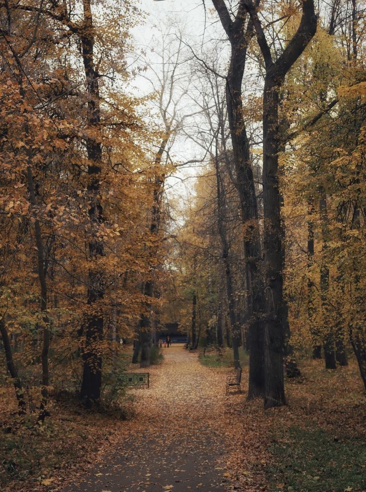 Photograph by Кира Бахвалова