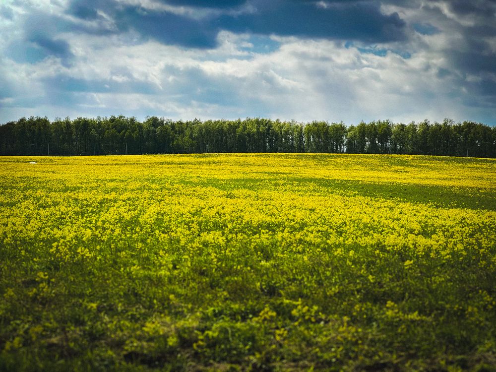 Photograph by Улитко Анастасия