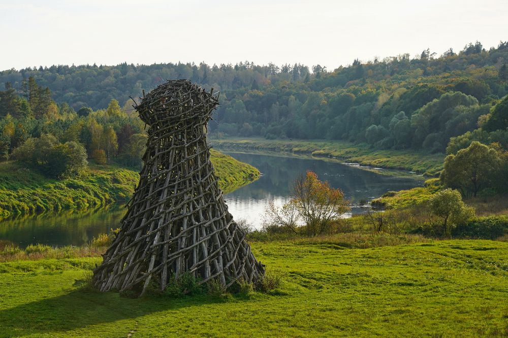 Photo #11133264